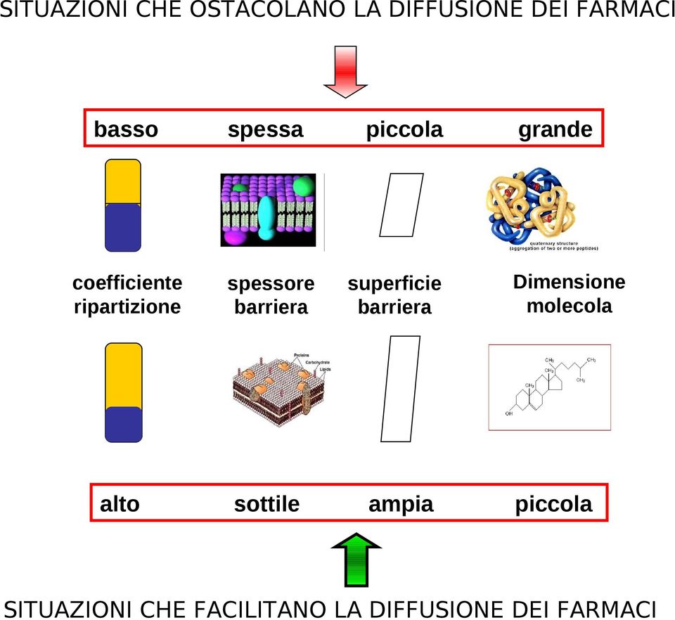 sottile piccola superficie barriera ampia grande Dimensione