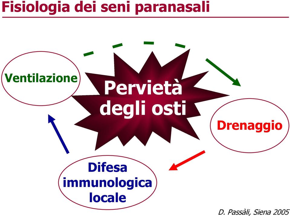 osti Drenaggio Difesa