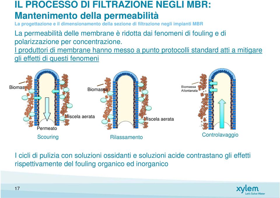 I produttori di membrane hanno messo a punto protocolli standard atti a mitigare gli effetti di questi fenomeni Biomassa Biomassa