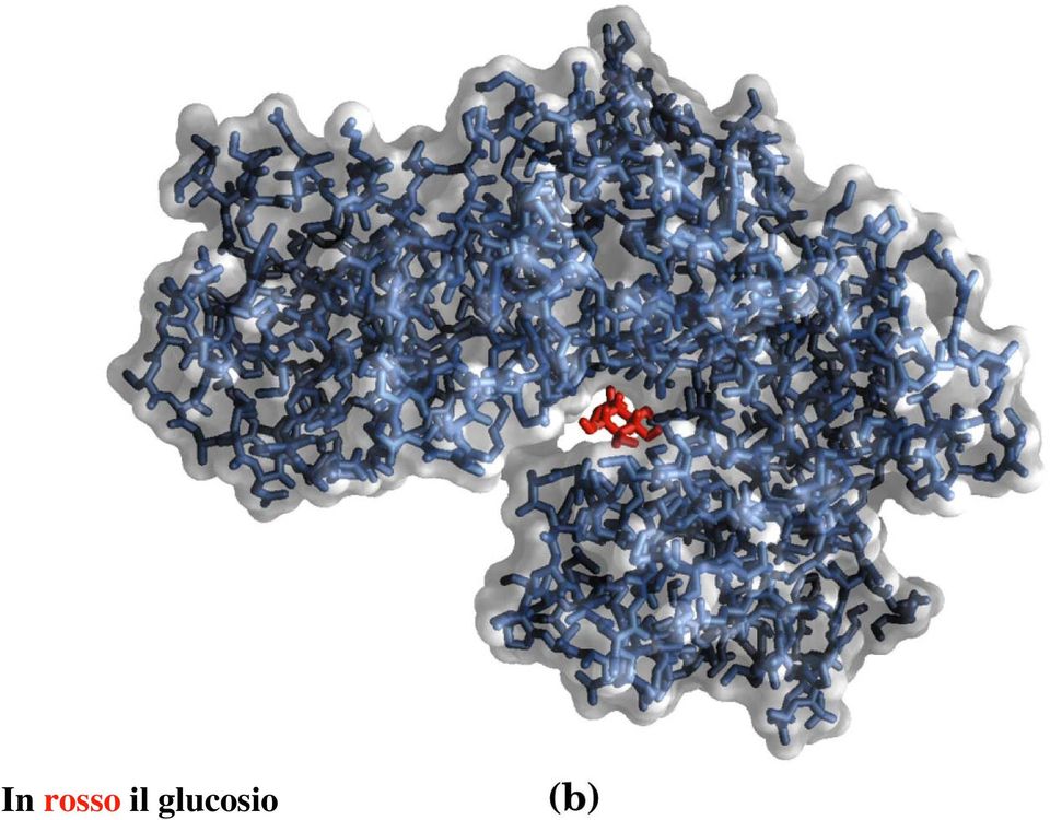 glucosio