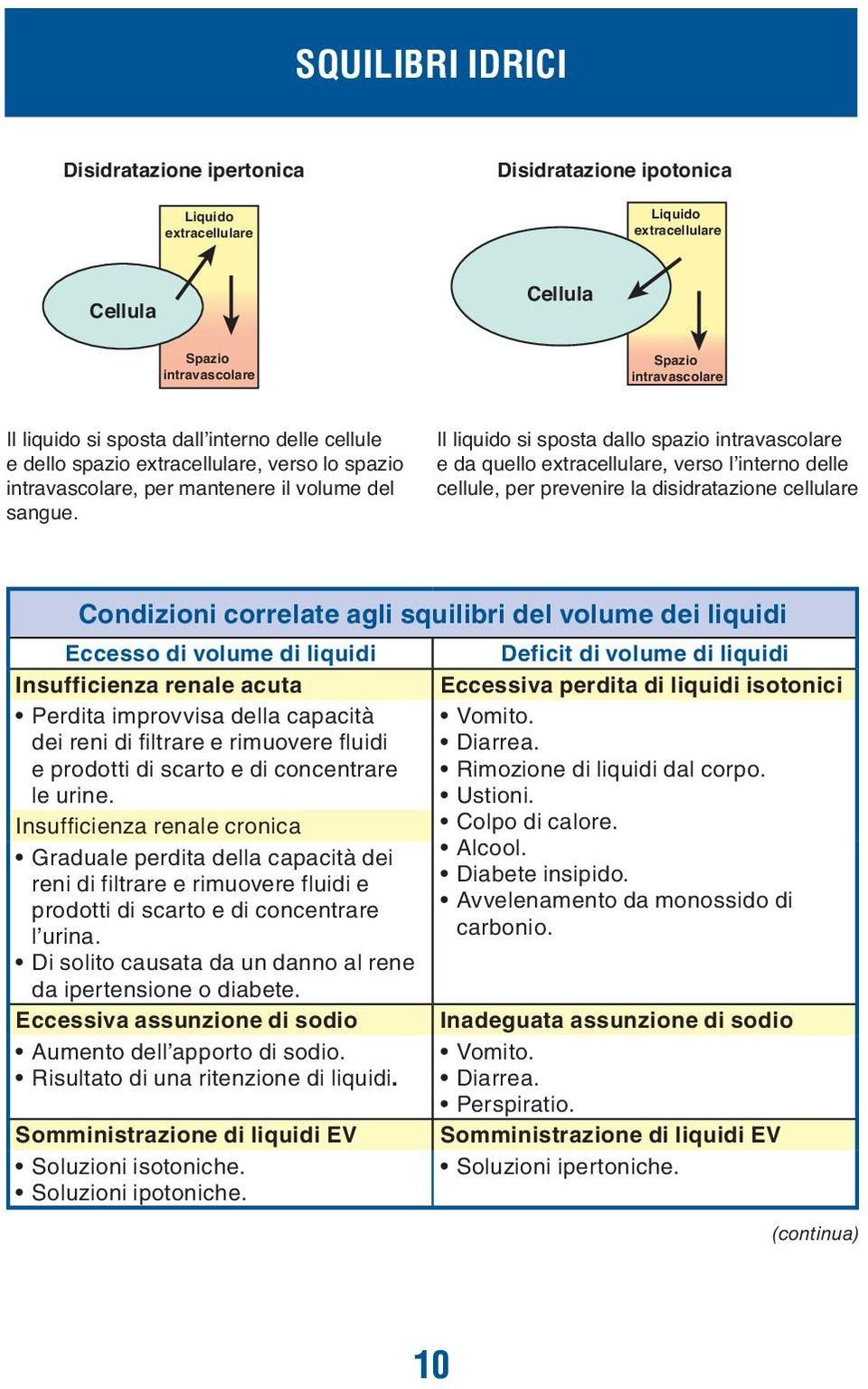 Il liquido si sposta dallo spazio intravascolare e da quello extracellulare, verso l interno delle cellule, per prevenire la disidratazione cellulare Condizioni correlate agli squilibri del volume