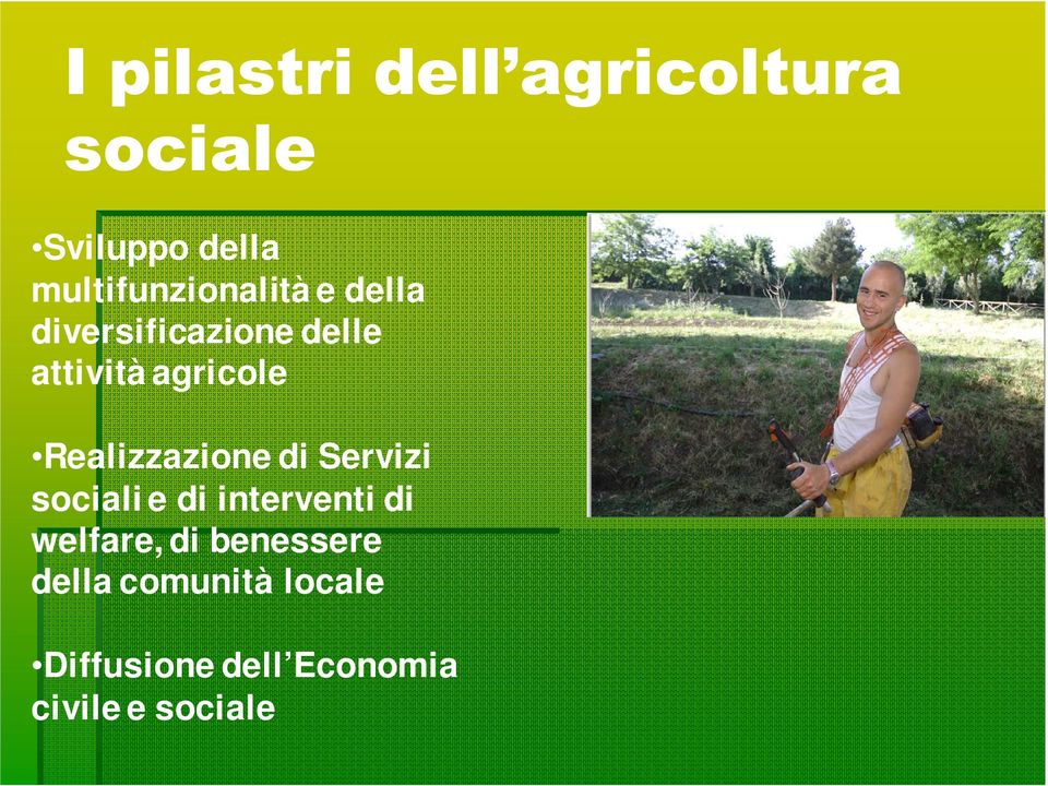 agricole Realizzazione di Servizi sociali e di interventi di