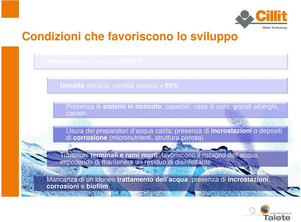 depositi di corrosione (micronutrienti, struttura porosa) Tubazioni terminali e rami morti: favoriscono il ristagno dell acqua,