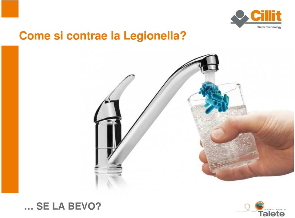 Legionella?