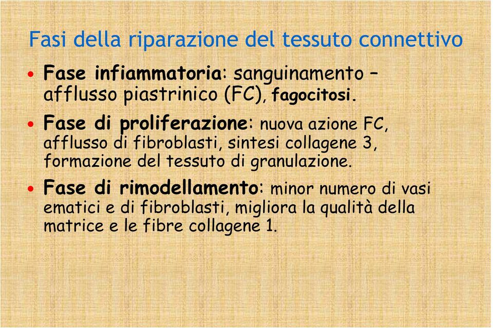 Fase di proliferazione: nuova azione FC, afflusso di fibroblasti, sintesi collagene 3,