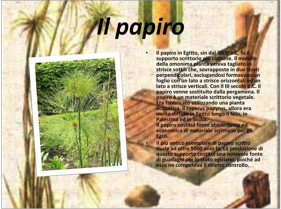 strisce verticali. Con il III secolo d.c. il papiro venne sostituito dalla pergamena. Il papiro èun materiale scrittorio vegetale.