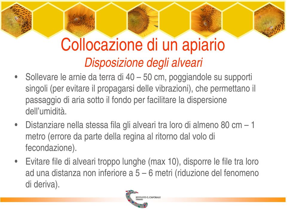 Distanziare nella stessa fila gli alveari tra loro di almeno 80 cm 1 metro (errore da parte della regina al ritorno dal volo di