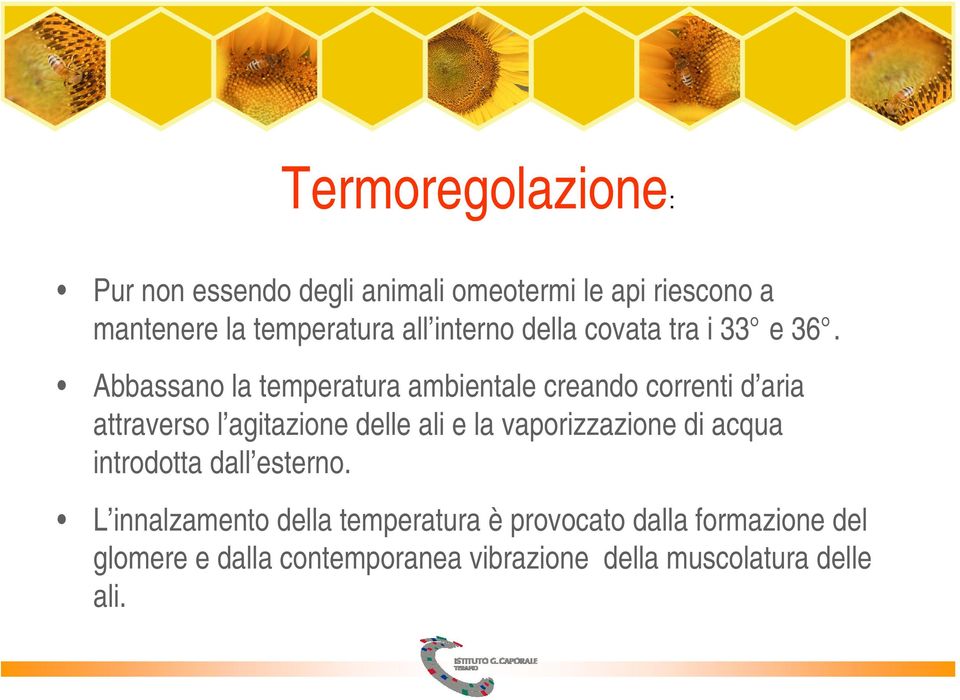 Abbassano la temperatura ambientale creando correnti d aria attraverso l agitazione delle ali e la