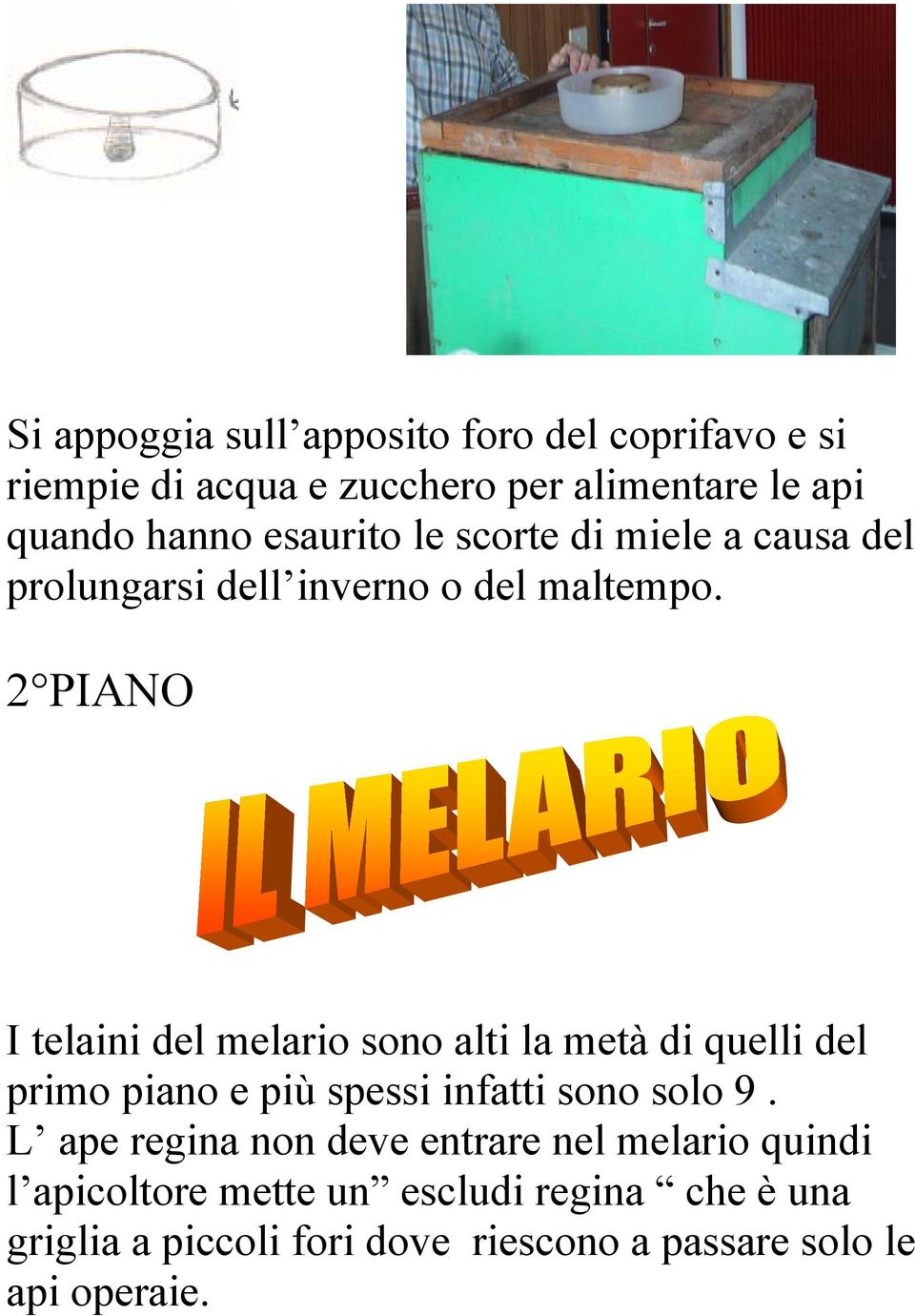 2 PIANO I telaini del melario sono alti la metà di quelli del primo piano e più spessi infatti sono solo 9.