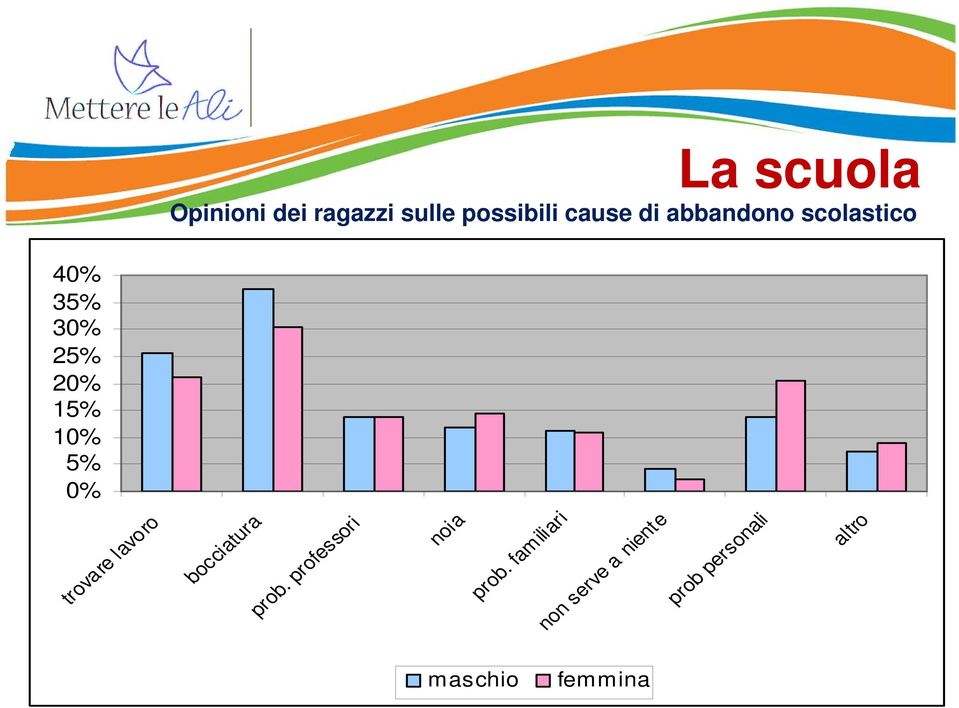 lavoro 40% 35% 30% 25% 20% 15% 10% 5% 0% La scuola