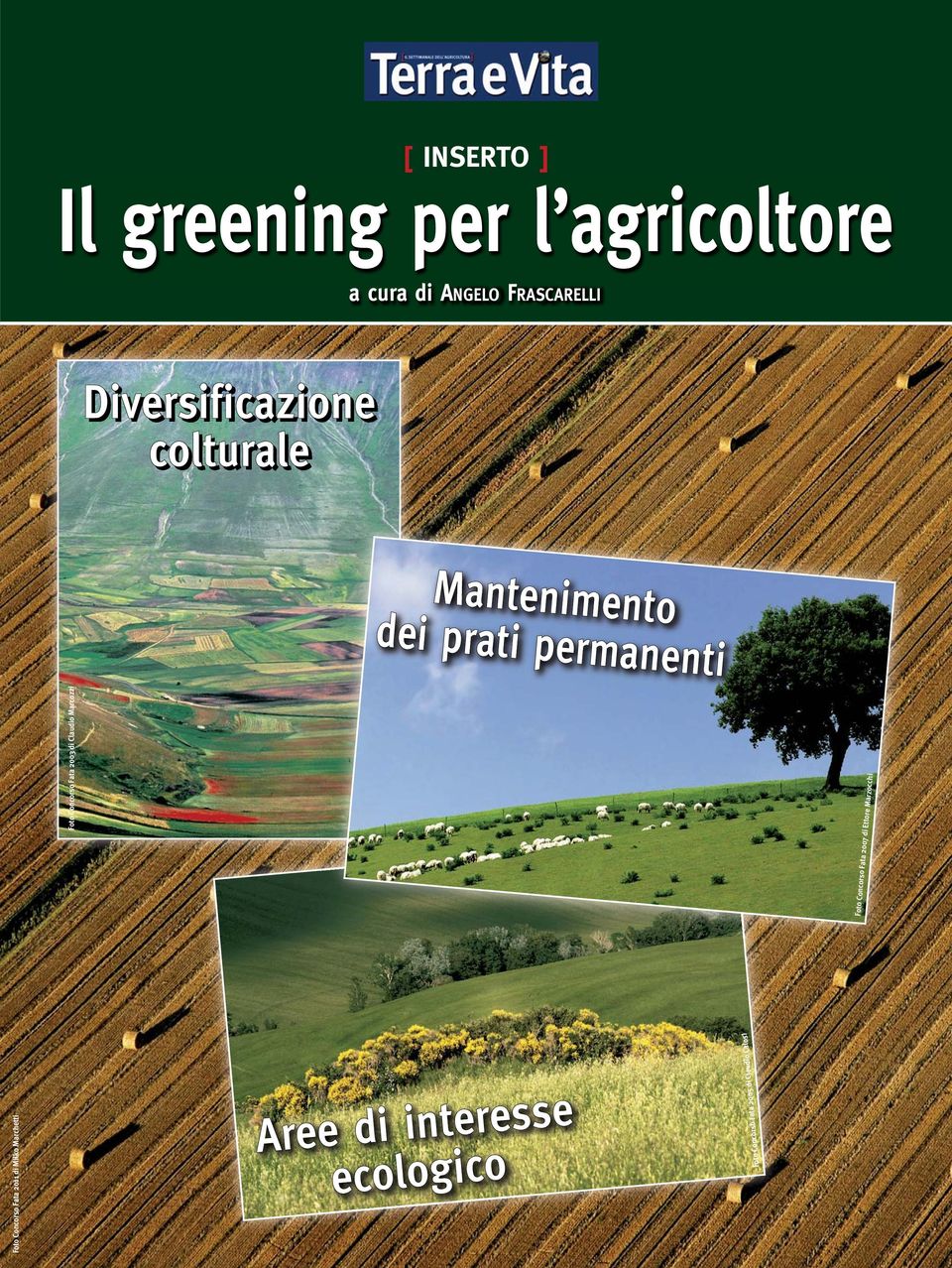 Foto Concorso Fata 2003 di Claudio Marcozzi INSERTO Il greening per l agricoltore a