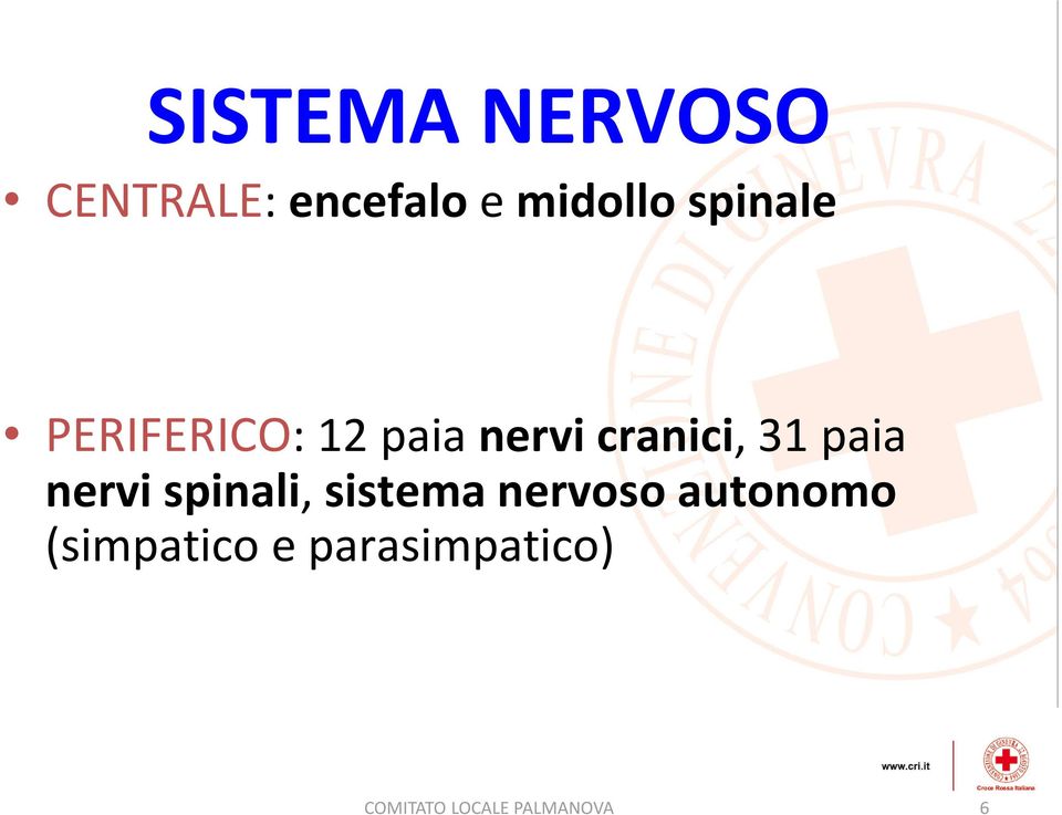 paia nervi spinali, sistema nervoso autonomo