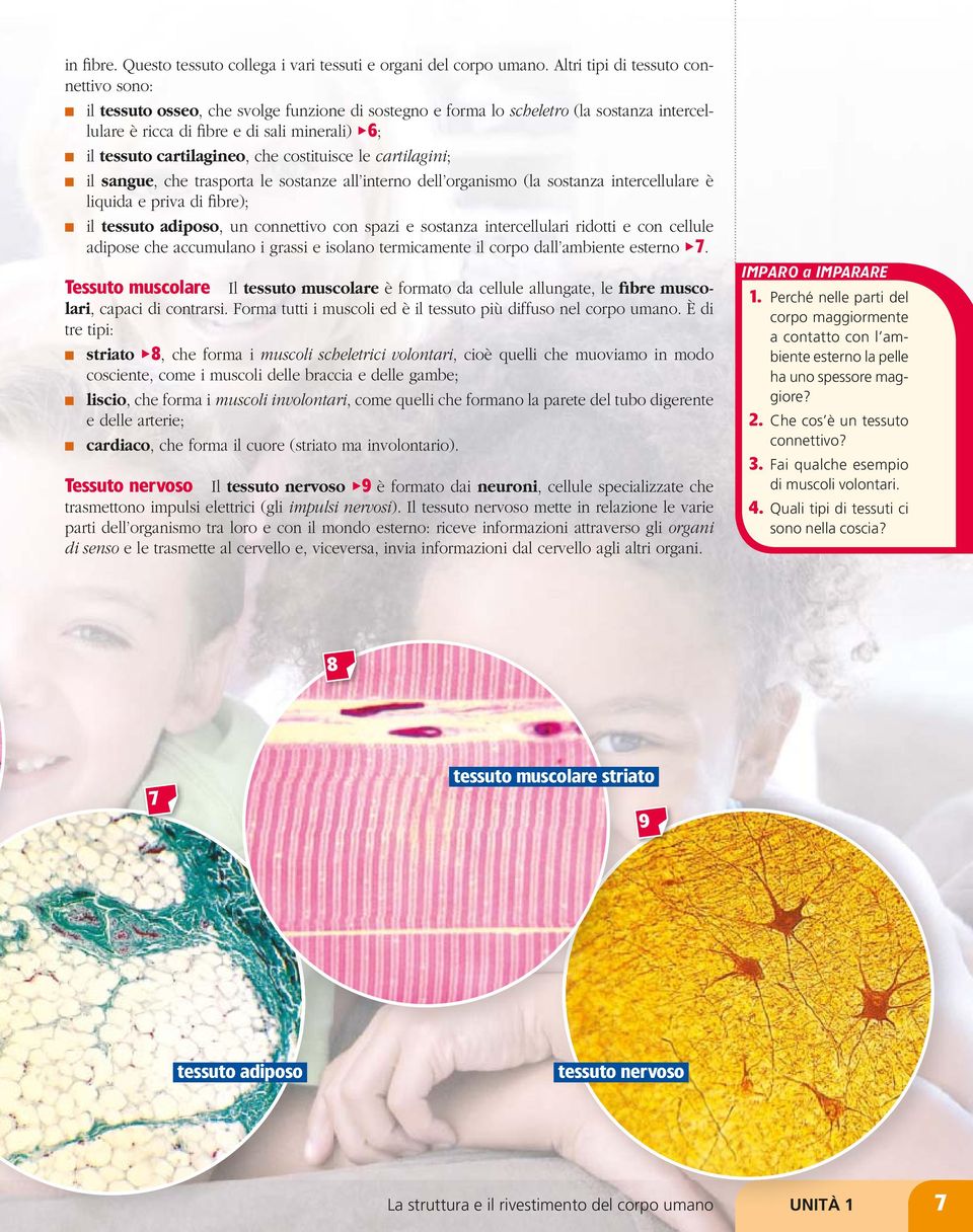 cartilagineo, che costituisce le cartilagini; il sangue, che trasporta le sostanze all interno dell organismo (la sostanza intercellulare è liquida e priva di fibre); il tessuto adiposo, un