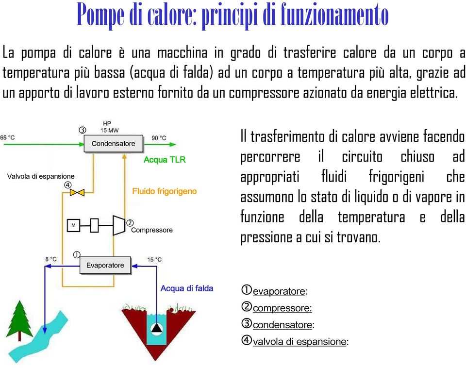 Valvola di espansione 4 1 3 Condensatore Evaporatore 2 Acqua TLR Fluido frigorigeno Compressore Acqua di falda Il trasferimento di calore avviene facendo percorrere il