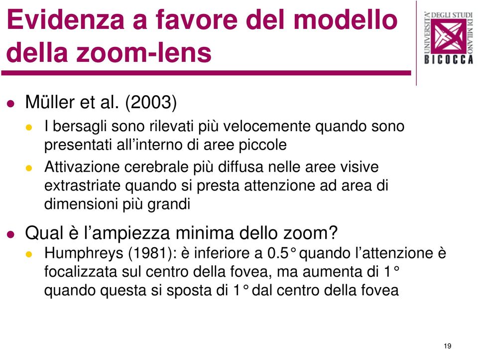 più diffusa nelle aree visive extrastriate quando si presta attenzione ad area di dimensioni più grandi Qual è l ampiezza