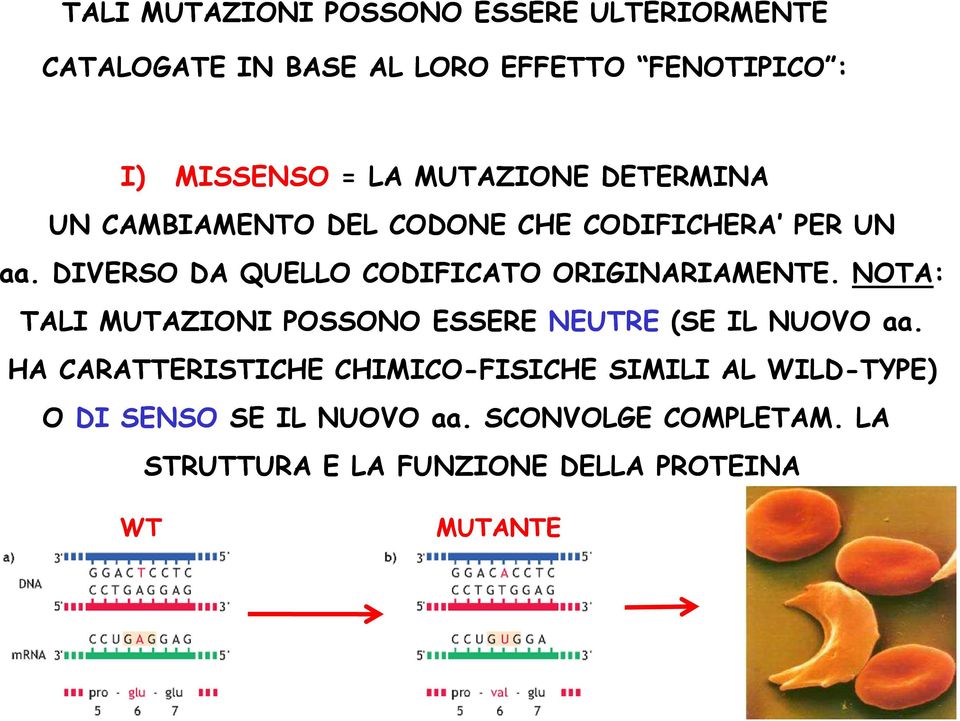 DIVERSO DA QUELLO CODIFICATO ORIGINARIAMENTE. NOTA: TALI MUTAZIONI POSSONO ESSERE NEUTRE (SE IL NUOVO aa.