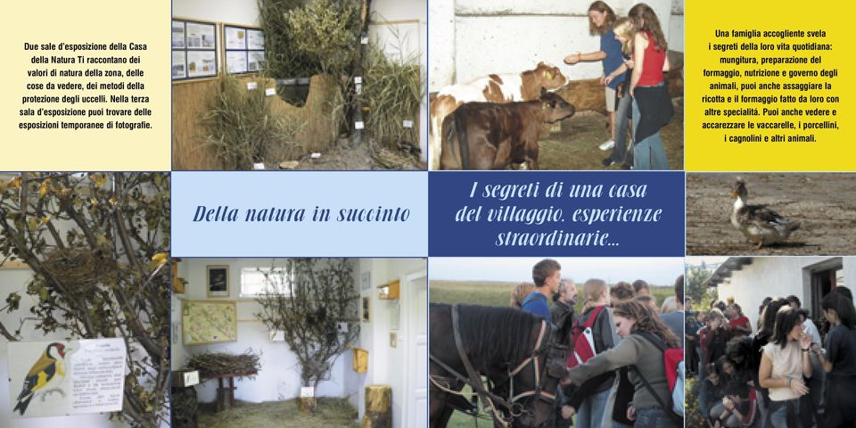 Una famiglia accogliente svela i segreti della loro vita quotidiana: mungitura, preparazione del formaggio, nutrizione e governo degli animali, puoi anche