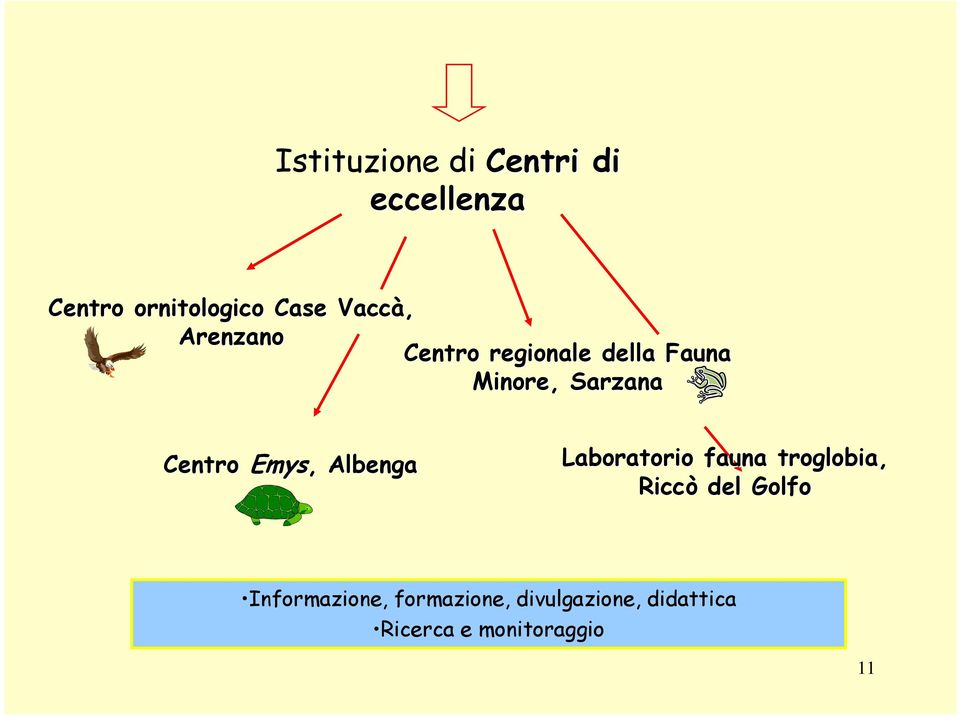 Centro Emys,, Albenga Laboratorio fauna troglobia, Riccò del