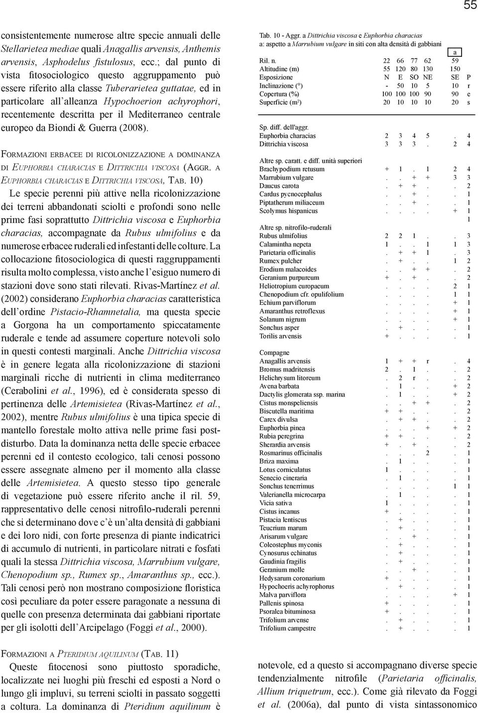 Mediterraneo centrale europeo da Biondi & Guerra (2008). Formazioni erbacee di ricolonizzazione a dominanza di Euphorbia characias e Dittrichia viscosa (Aggr.