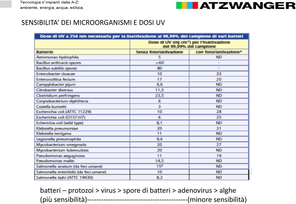 adenovirus > alghe (più