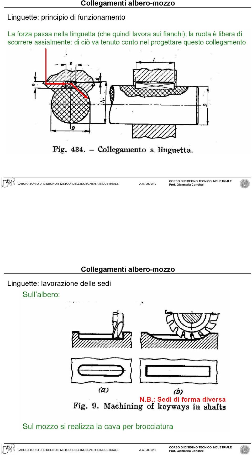 albero-mozzo Linguette: