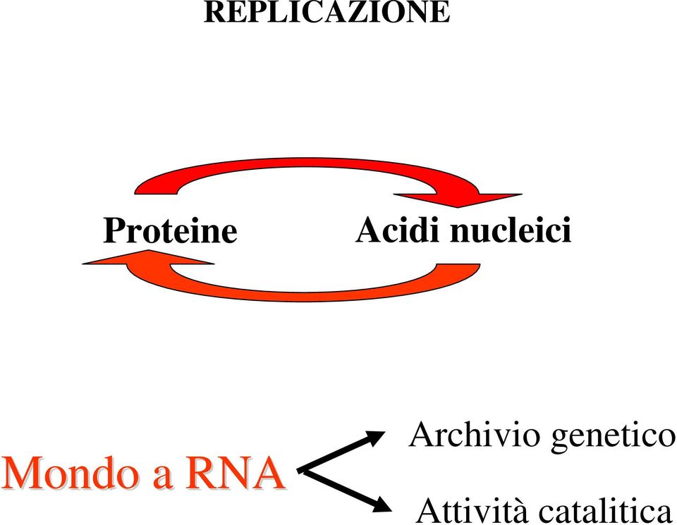 a RNA Archivio