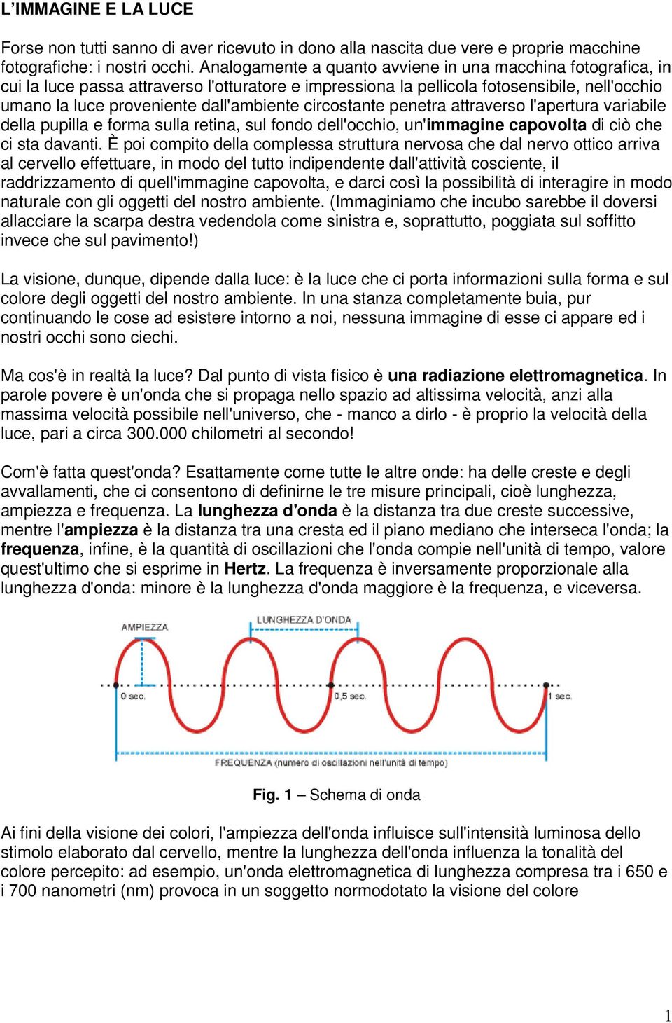 circostante penetra attraverso l'apertura variabile della pupilla e forma sulla retina, sul fondo dell'occhio, un'immagine capovolta di ciò che ci sta davanti.