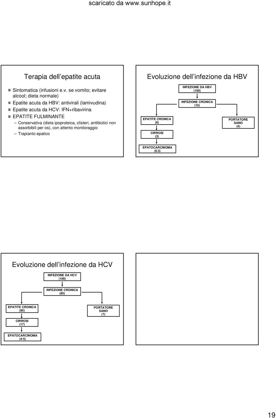 se vomito; evitare alcool; dieta normale) Epatite acuta da HBV: antivirali (lamivudina) Epatite acuta da HCV: IFN+ribavirina EPATITE FULMINANTE Conservativa