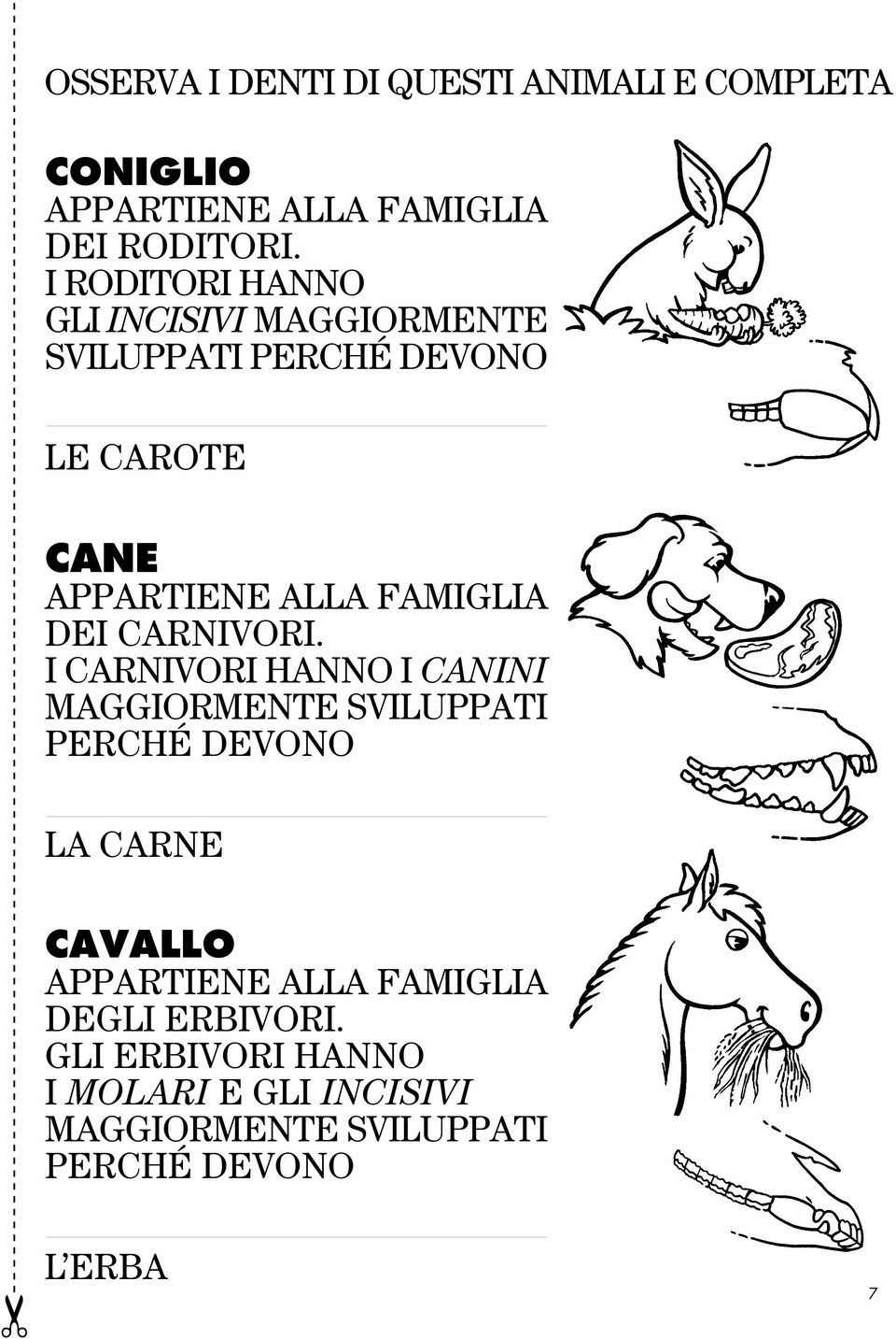 FAMIGLIA DEI CARNIVORI.