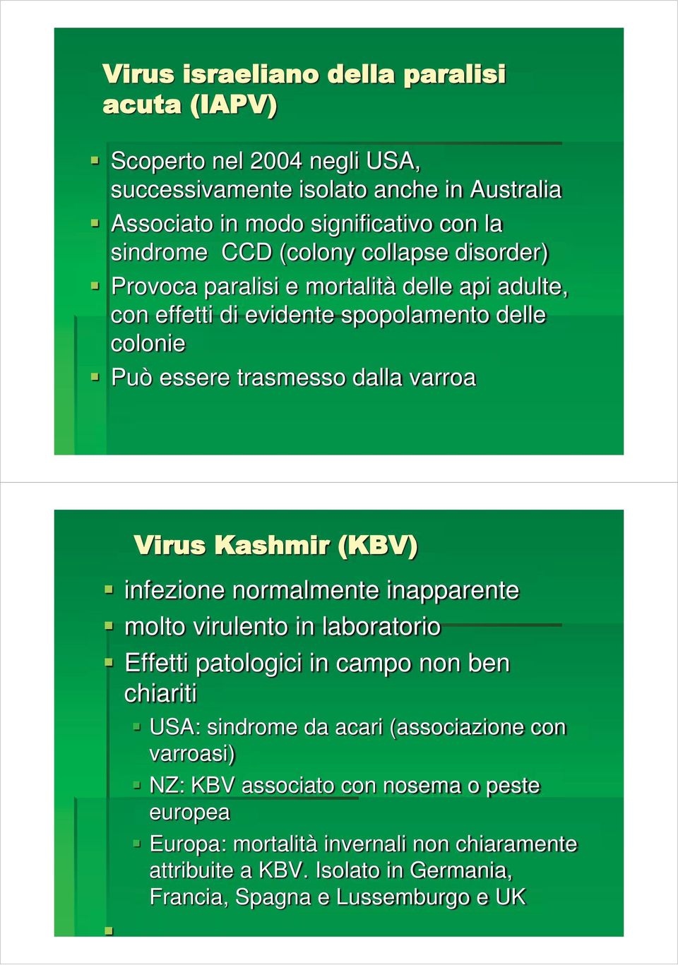 Virus Kashmir (KBV) infezione normalmente inapparente molto virulento in laboratorio Effetti patologici in campo non ben chiariti USA: sindrome da acari (associazione