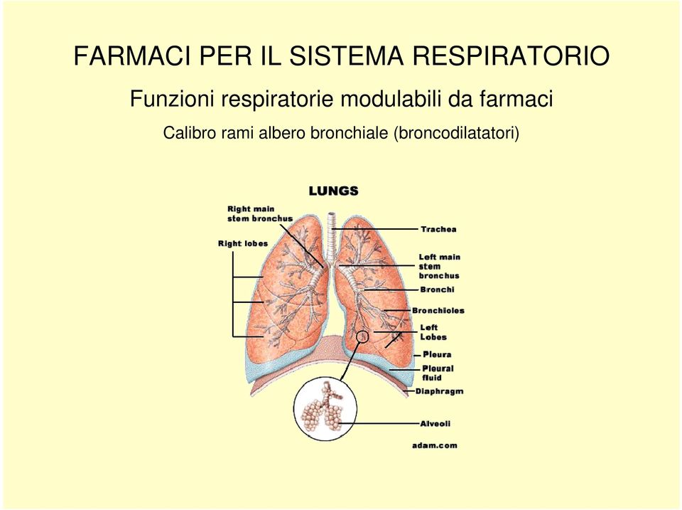 respiratorie modulabili da
