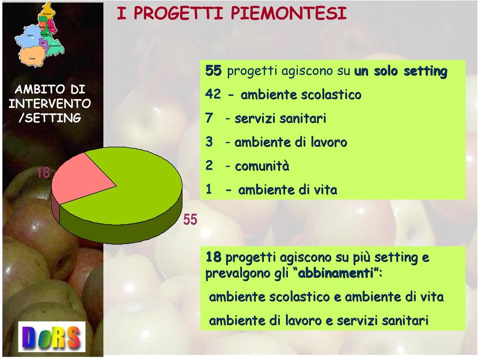 comunità 1 - ambiente di vita 55 18 progetti agiscono su più setting e prevalgono gli