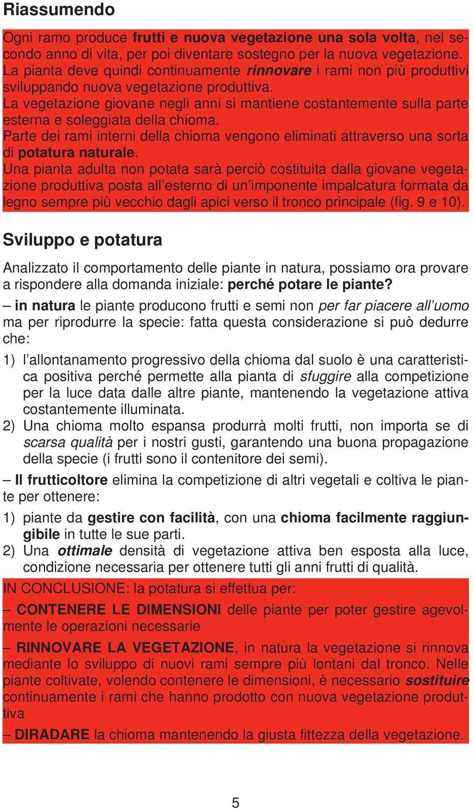 La vegetazione giovane negli anni si mantiene costantemente sulla parte esterna e soleggiata della chioma.