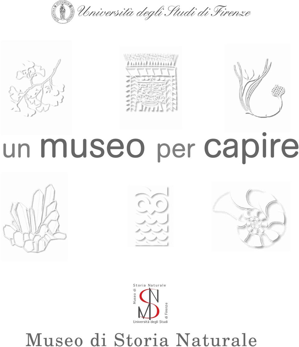 Naturale Museo di di Firenze