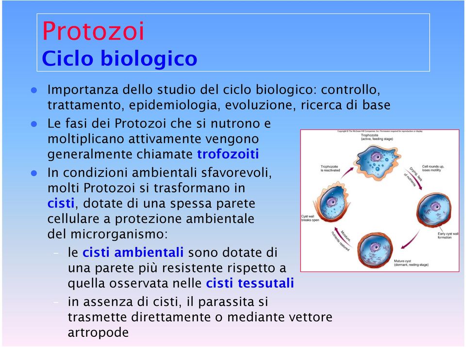 trasformano in cisti, dotate di una spessa parete cellulare a protezione ambientale del microrganismo: le cisti ambientali sono dotate di una parete