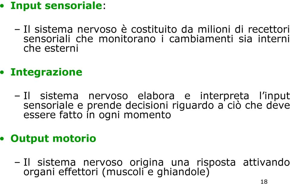 interpreta l input sensoriale e prende decisioni riguardo a ciò che deve essere fatto in ogni