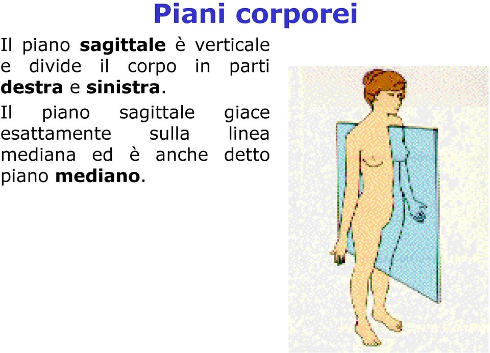 Il piano sagittale giace esattamente sulla