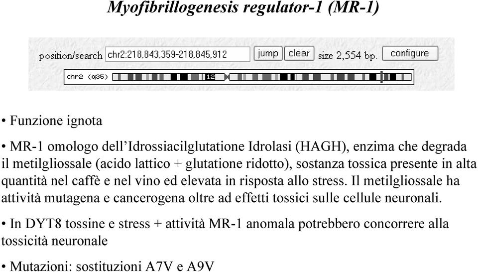 elevata in risposta allo stress.