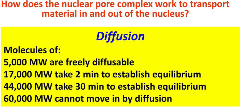 Diffusion Molecules of: 5,000 MW are freely diffusable 17,000 MW