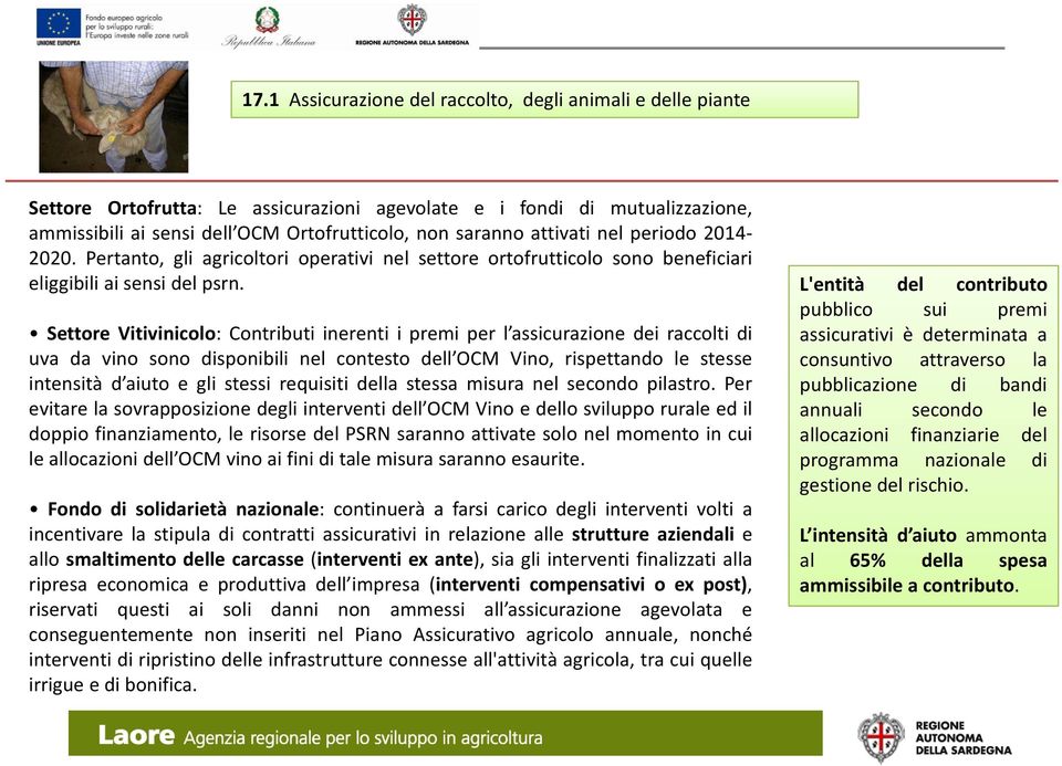 Settore Vitivinicolo: Contributi inerenti i premi per l assicurazione dei raccolti di uva da vino sono disponibili nel contesto dell OCM Vino, rispettando le stesse intensità d aiuto e gli stessi