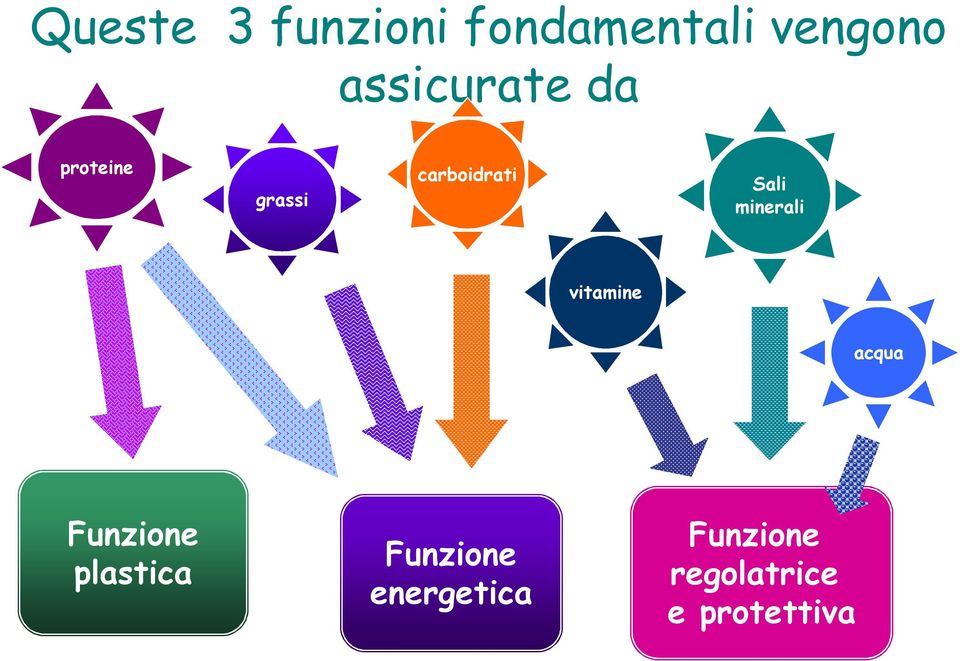 Sali minerali vitamine acqua Funzione