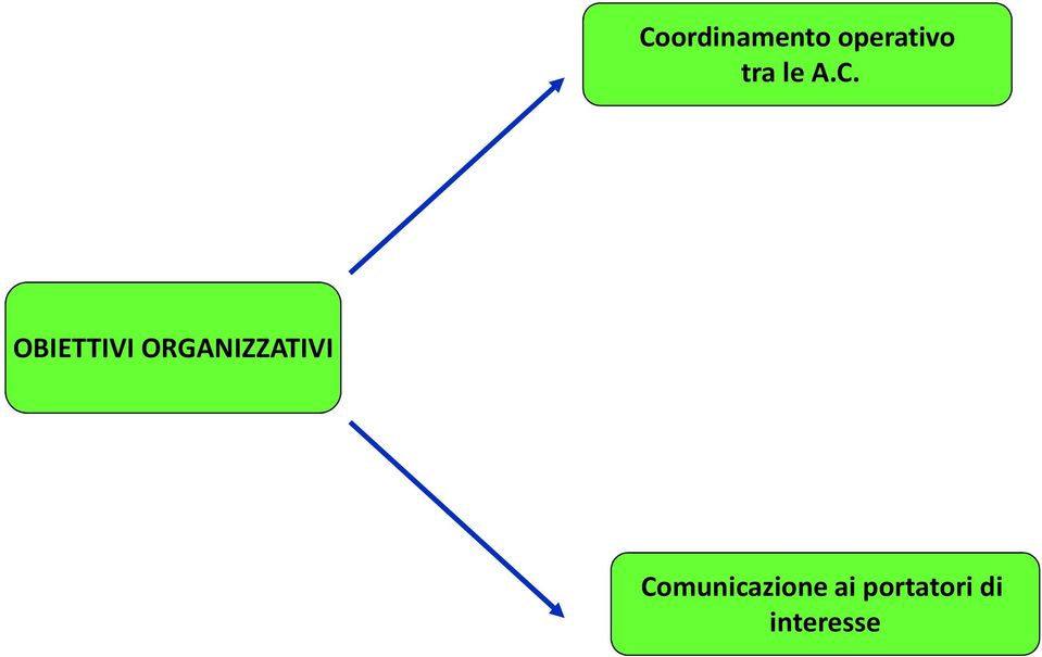 OBIETTIVI ORGANIZZATIVI