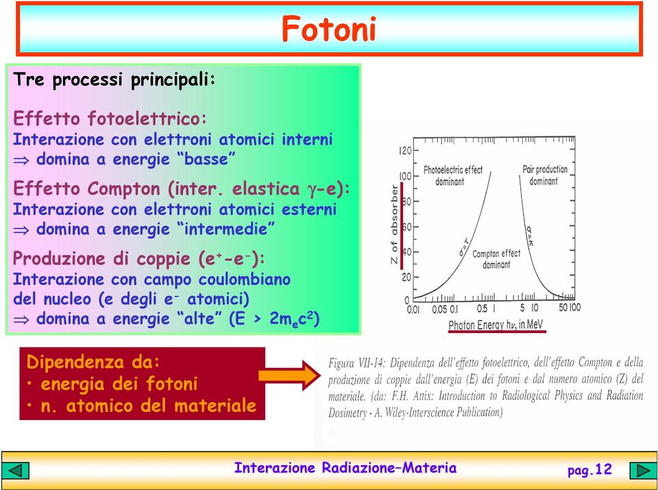 elastica γ-e): Interazione con elettroni atomici esterni domina a energie intermedie Produzione di coppie (e