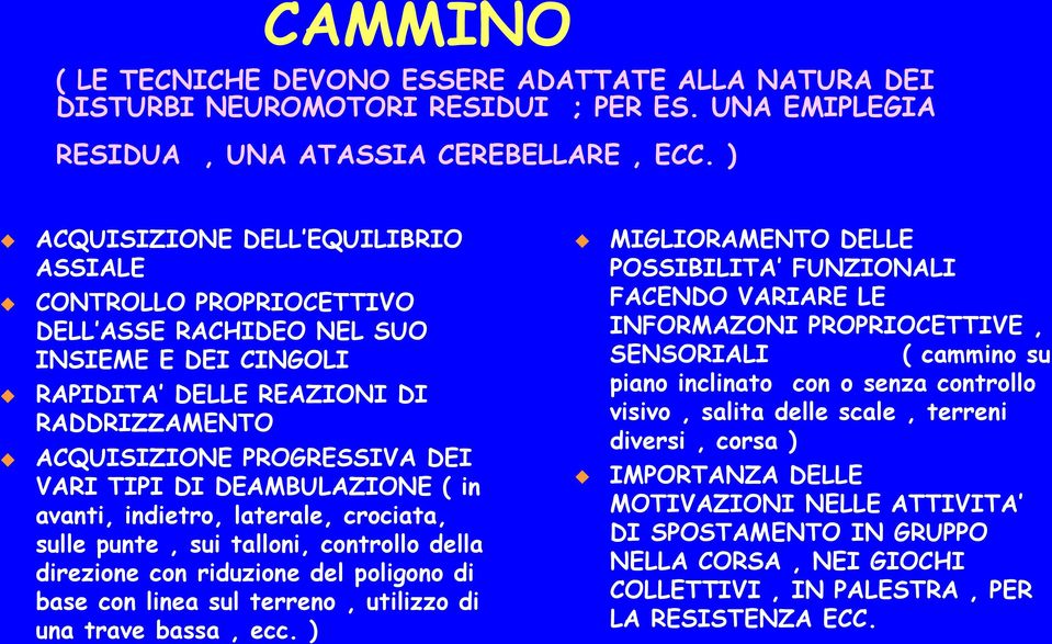 DEAMBULAZIONE ( in avanti, indietro, laterale, crociata, sulle punte, sui talloni, controllo della direzione con riduzione del poligono di base con linea sul terreno, utilizzo di una trave bassa, ecc.