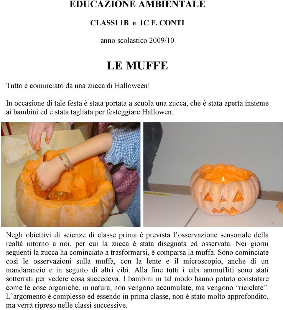 Negli obiettivi di scienze di classe prima è prevista l osservazione sensoriale della realtà intorno a noi, per cui la zucca è stata disegnata ed osservata.