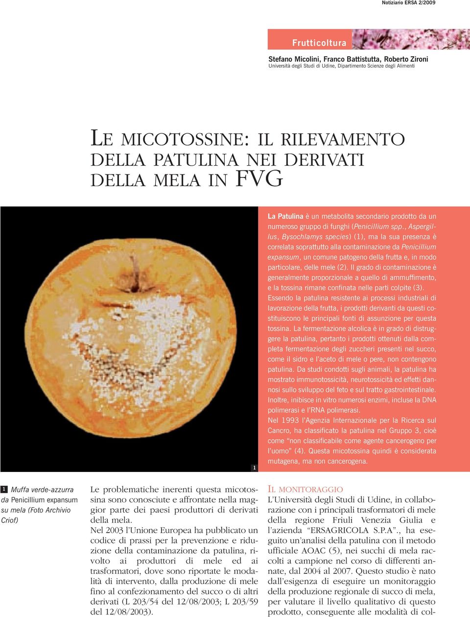 , Aspergillus, Bysochlamys species) (1), ma la sua presenza è correlata soprattutto alla contaminazione da Penicillium expansum, un comune patogeno della frutta e, in modo particolare, delle mele (2).