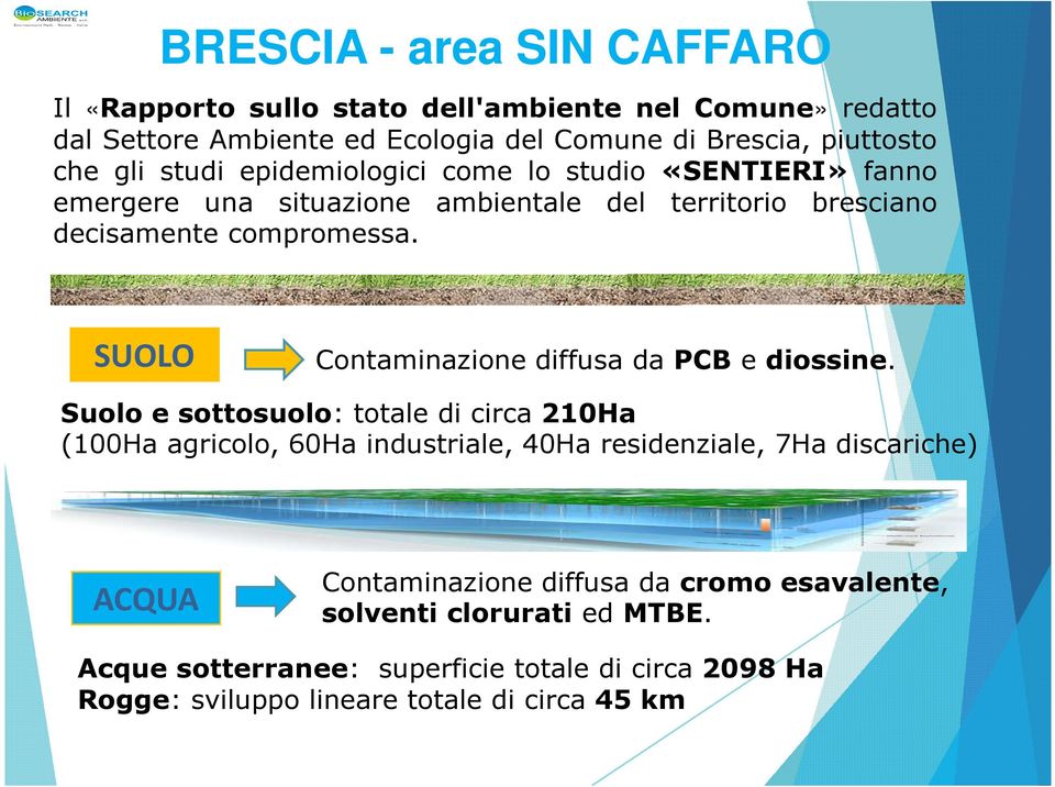 SUOLO Contaminazione diffusa da PCB e diossine.