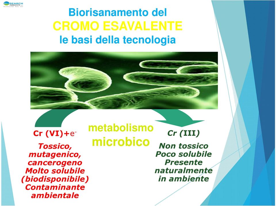 (biodisponibile) Contaminante ambientale metabolismo microbico