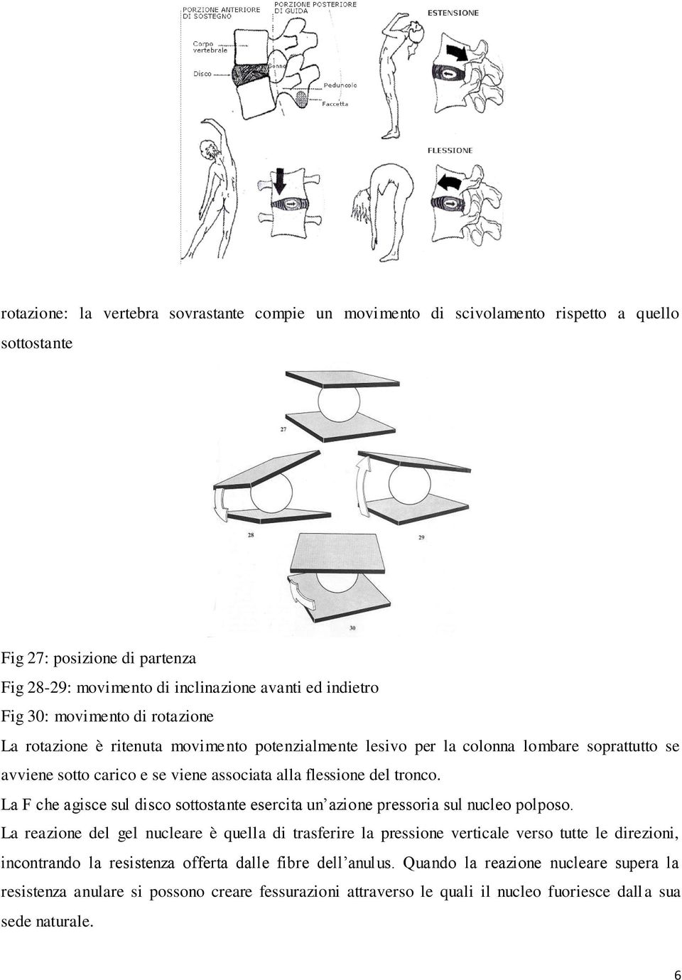 La F che agisce sul disco sottostante esercita un azione pressoria sul nucleo polposo.