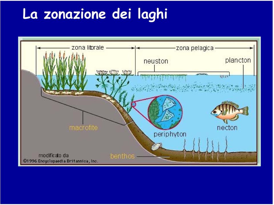 dei laghi